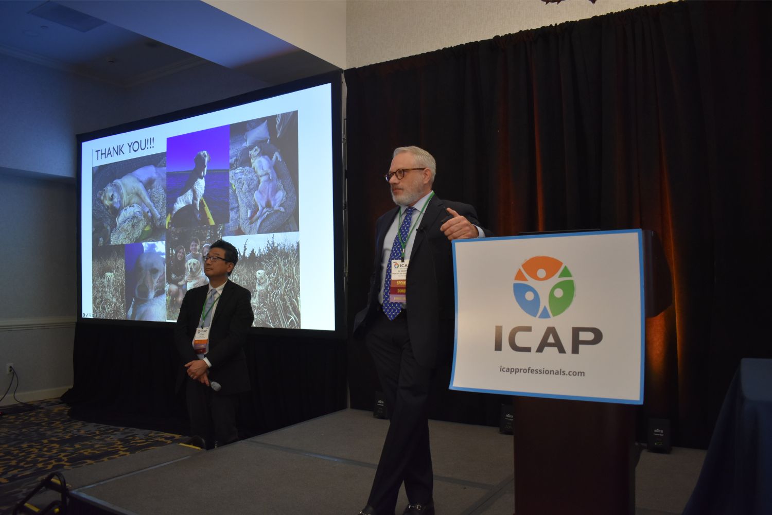 Photos from the 2024 ICAP conference.